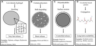 Delivery of Antioxidant and Anti-inflammatory Agents for Tissue Engineered Vascular Grafts